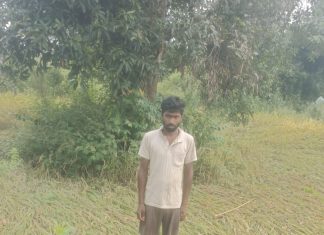जयदेव कोल्हे,वासुदेव कोल्हे यांच्या शेतातील भात पिक झाले अतिवृष्टीमुळे खराब…
