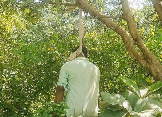 ब्रेकिंग न्यूज… — चिखलदरा हादरले! चार दिवसांपासून बेपत्ता असलेल्या तरुणाचा जंगलात आढळला मृतदेह…