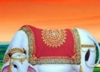 दिन दिन दिवाळी, गाई-म्हशी ओवाळी…. — वसुबारस सणाने घराघरात उत्साह; पारंपरिक श्रद्धेसह आधुनिकतेचा संगम…