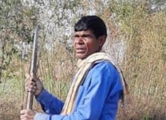 वाघाने घेतला परत एका शेतकऱ्याचा जिव… — चिमूर तालुक्यातील ३ शेतकऱ्यांना वाघाच्या हल्ल्यात गमवावा लागला जिव… — वन अधिकारी सतर्क होणार काय?…