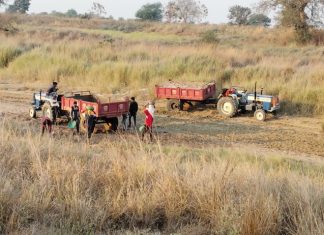 When will the Maharashtra Government finally be jolted into action regarding the rampant sand and murrum smuggling in Chimur Taluka? — Has sand smuggling alone caused a revenue loss of nearly ₹4.32 billion within just six months? And a staggering revenue loss of ₹38.88 billion over the last nine years? — Is this the reason why illegal activities in Chimur Taluka are being deliberately ignored? — Who earned how much money over this nine-year period, and who was responsible for causing the loss of billions in state revenue?