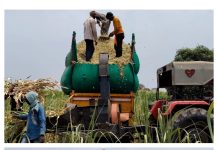 पावसा अगोदर यंत्राच्या साह्याने जनावरांचा हिरवा चारा बारीक कुटी करण्यासाठी शेतकऱ्यांची लगबग…