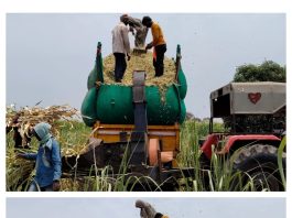 पावसा अगोदर यंत्राच्या साह्याने जनावरांचा हिरवा चारा बारीक कुटी करण्यासाठी शेतकऱ्यांची लगबग…