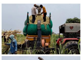 पावसा अगोदर यंत्राच्या साह्याने जनावरांचा हिरवा चारा बारीक कुटी करण्यासाठी शेतकऱ्यांची लगबग…