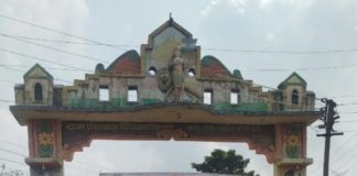 पिंपळागाव (हलबी) हे मातीशी नातं जपणारं समृद्ध गाव….