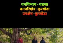 वन्य प्राण्यांसाठी पाणपोई : वनपरिक्षेत्र अधिकारी कुरखेडा यांचा स्तुत्य उपक्रम…