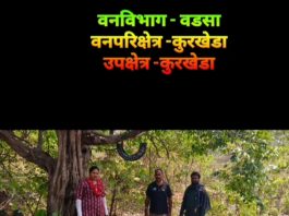 वन्य प्राण्यांसाठी पाणपोई : वनपरिक्षेत्र अधिकारी कुरखेडा यांचा स्तुत्य उपक्रम…