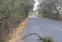 ब्रेकिंग न्यूज… — अज्ञात वाहनाच्या धडकेत चुरमुरा गावा जवळ एक जागीच ठार…