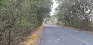 ब्रेकिंग न्यूज… — अज्ञात वाहनाच्या धडकेत चुरमुरा गावा जवळ एक जागीच ठार…
