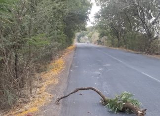 ब्रेकिंग न्यूज… — अज्ञात वाहनाच्या धडकेत चुरमुरा गावा जवळ एक जागीच ठार…
