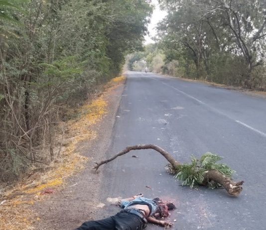 ब्रेकिंग न्यूज… — अज्ञात वाहनाच्या धडकेत चुरमुरा गावा जवळ एक जागीच ठार…