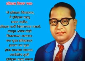 युगपुरुष डाॅ.बाबासाहेब आंबेडकरांचे,”स्वातंत्र्य,लोकशाही,पक्ष,व्यक्ती पुजा,धोके व नागरिकांच्या कर्तव्याबाबत महत्वपूर्ण मत….