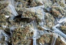 गांजाच्या नशेचा विळखा,”निर्जन ठिकाणी उघडपणे सेवन…