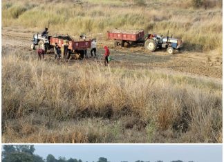 अवैध धंदे,वेश्याव्यवसाय बंद करायला थरथर कापतात चिमूर तालुक्यातील अधिकारी!… — अवैध धंद्यांचा मुख्य मोहरक्या गुन्हेगार प्रवृत्तीचा गुंड आहे काय?, — “अधिकारी म्हणजे स्वत:च्या अधिकारांतर्गत कर्तव्याचे पालन न करणारे जिवंतपणातले मृत्य मनुष्य प्राणी काय?,”इतर….