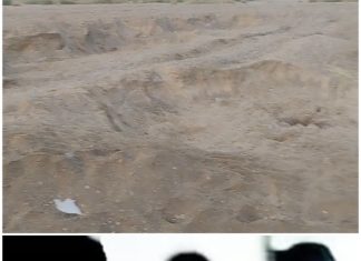 Are those officials accomplices of the sand-gravel mafia and those involved in illegal trades, including prostitution? — Who is that mafia figure—that individual with a criminal bent—whom the officials fear? — “The law will take its course; it will gain momentum. Tomorrow will bring a ruthless exposé of the reality concerning these officials…”