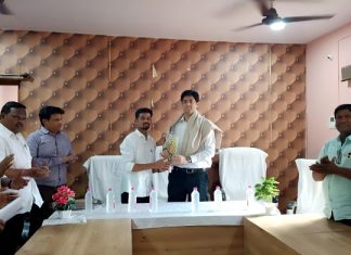 जिल्हाधिकारी यांचेकडून आरमोरी शहरातील विविध विकास कामांची पाहणी…