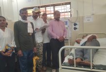 रानडुकराच्या हल्ल्यात 2 पुरुष, व 1 महिला जखमी… — पाळीव कुत्र्यामुळे जीव वाचला… — आर्थिक मदत मिळण्याची मागणी…
