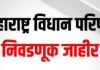 स्थानिक स्वराज्य संस्था निवडणूक मतदानातून जि.प. व प.स.बाद..! — “अनास्था” की राजकीय “नौटंकी”?