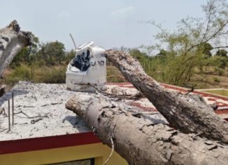 रांगी गटसाधन केंद्रावर चिंचेचे झाड कोसळले… — पाण्याची टाकी जळल्याने नुकसान,सुदैवाने जीवितहानी टळली…