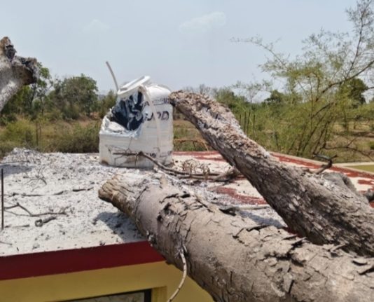 रांगी गटसाधन केंद्रावर चिंचेचे झाड कोसळले… — पाण्याची टाकी जळल्याने नुकसान,सुदैवाने जीवितहानी टळली…