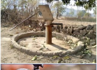 चिमूर तालुकातंर्गत पाणी टंचाईकडे तहसीलदार आणि संवर्ग विकास अधिकाऱ्यांनी वेळीच लक्ष दिले पाहिजे? — महिला हैराण!…