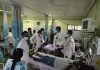 रानडूकराचा हल्ल्यात तेंदूपत्ता मजूर महिला गंभीर जखमी…