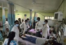 रानडूकराचा हल्ल्यात तेंदूपत्ता मजूर महिला गंभीर जखमी…