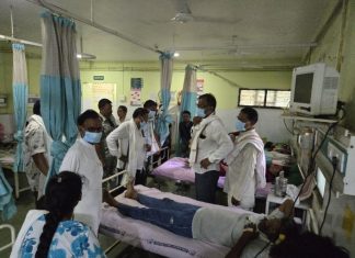 रानडूकराचा हल्ल्यात तेंदूपत्ता मजूर महिला गंभीर जखमी…