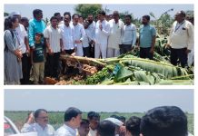 वादळी वाऱ्याने नुकसान झालेली शेती पिके व पडलेल्या घरांचे कृषी विभागाने तात्काळ पंचनामे करा :- कृषिमंत्री दत्तात्रय भरणे यांचे उद्गार… — बाधित झालेले शेती पिके व पडलेल्या घरांची कृषिमंत्री दत्तात्रय भरणे यांच्याकडून पाहणी… — बाधित पिकासहित पडलेल्या घरांचे पंचनामे करण्यासाठी अधिकाऱ्यांना दिला आदेश….