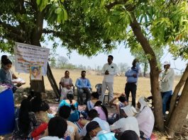 महिला आर्थिक विकास महामंडळाच्या वतीने सावरी (बिड) येथे पर्यावरण दिन संपन्न…