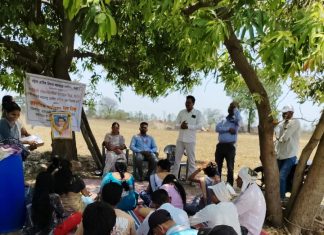 महिला आर्थिक विकास महामंडळाच्या वतीने सावरी (बिड) येथे पर्यावरण दिन संपन्न…